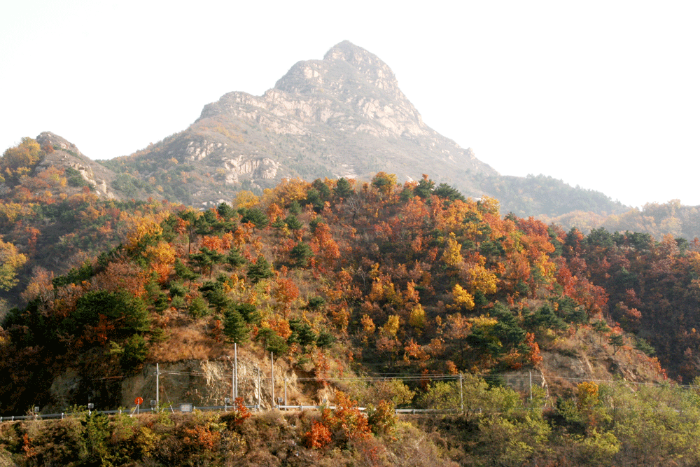 楊家台村(陝西省鹹陽市秦都區下轄村)