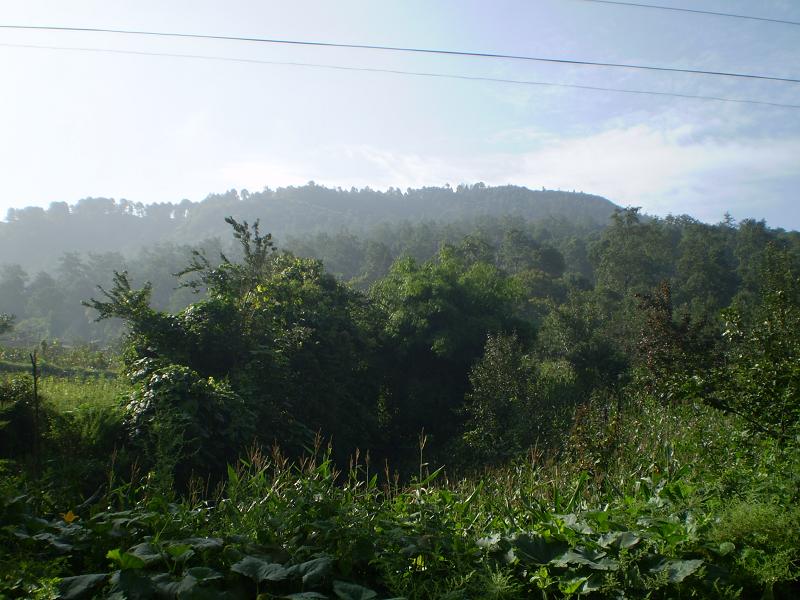 樂營村