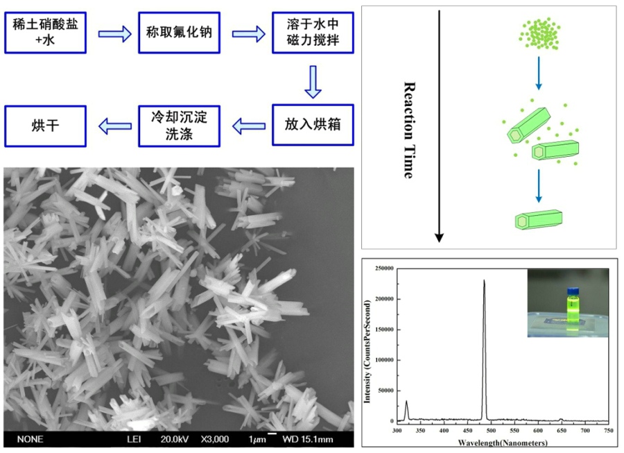 西安交通大學仿生工程與生物力學中心