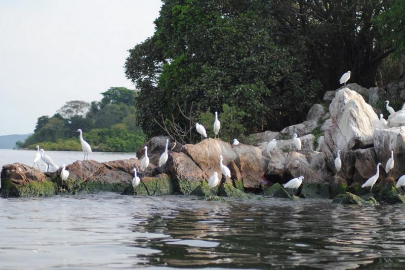 魯邦多島國家公園