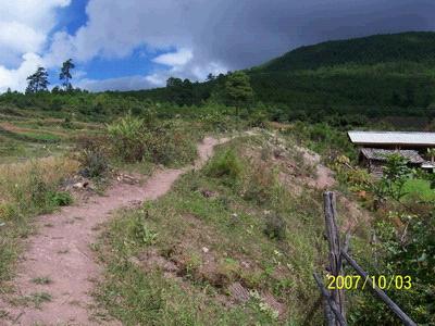 石登鄉界坪村委會大埡口村進村道路