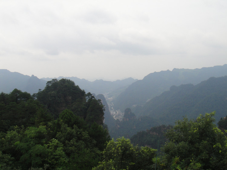 前墩村(浙江省衢州市江山市塘源口鄉下轄村)