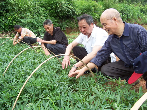 響水鄉農業情況