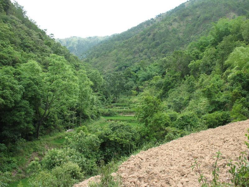 蘿蔔沖村(雲南省紅河州石屏縣異龍鎮的村莊)