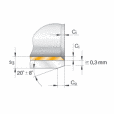 FAG EGB3020-E50軸承