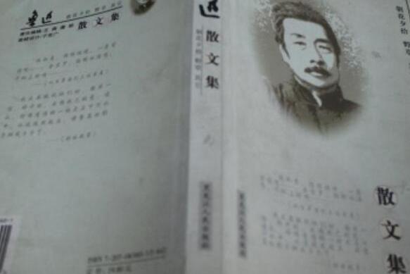 魯迅散文詩歌集(2004年黑龍江人民出版社出版的圖書)