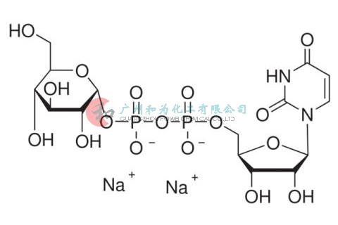 二磷酸尿苷葡糖