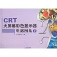 CRT大螢幕彩色顯示器電路圖集