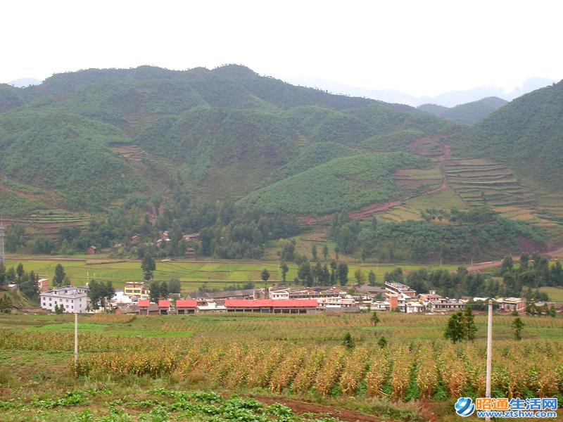 鐵廠村(雲南省魯甸縣水磨鎮鐵廠村)