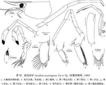 武鳴米蝦