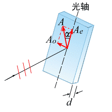 偏振片