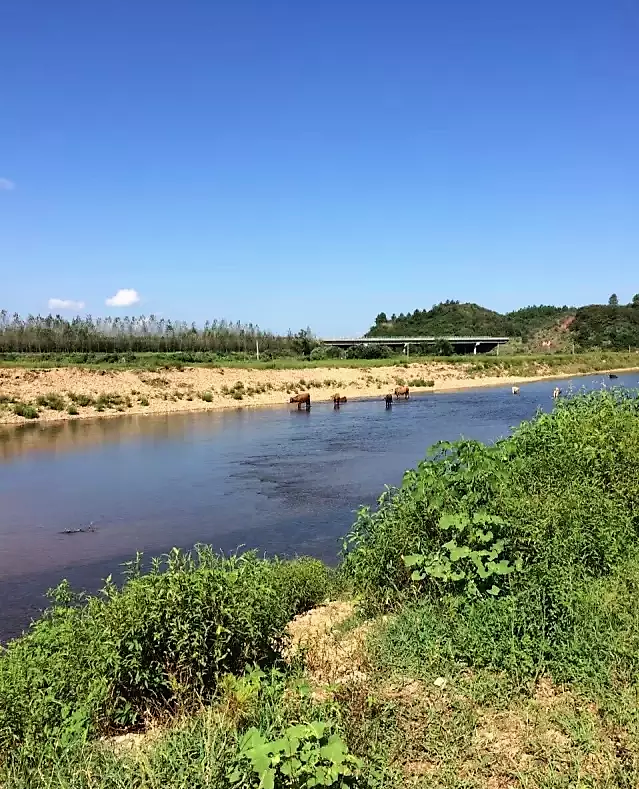 仙槎河