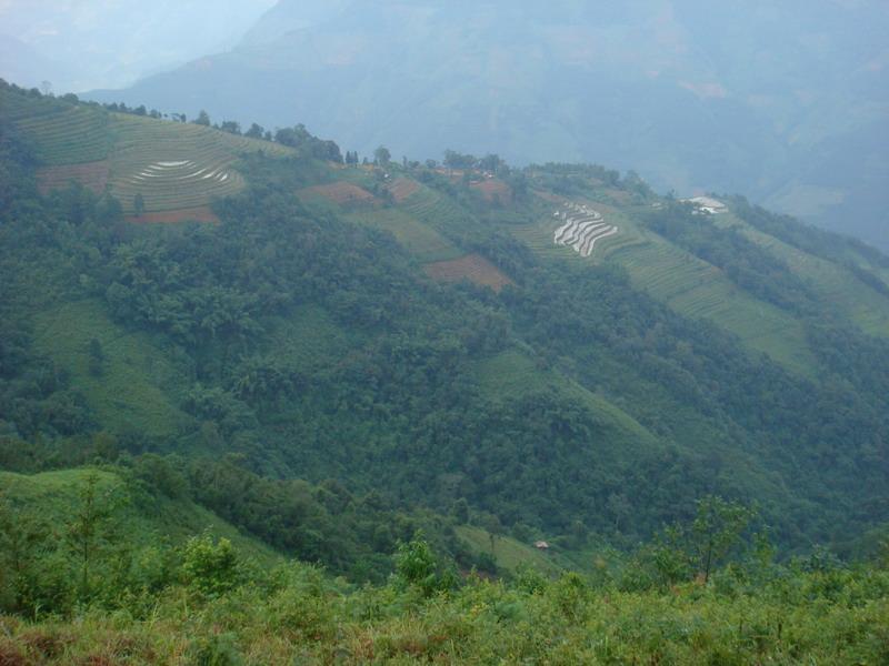 樹林寨自然村