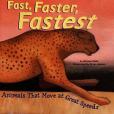 Fast, Faster, Fastest