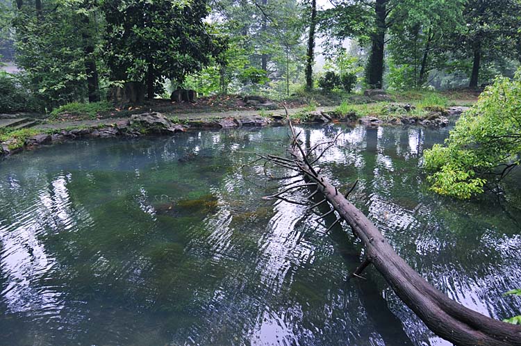 浙江雙龍洞國家森林公園