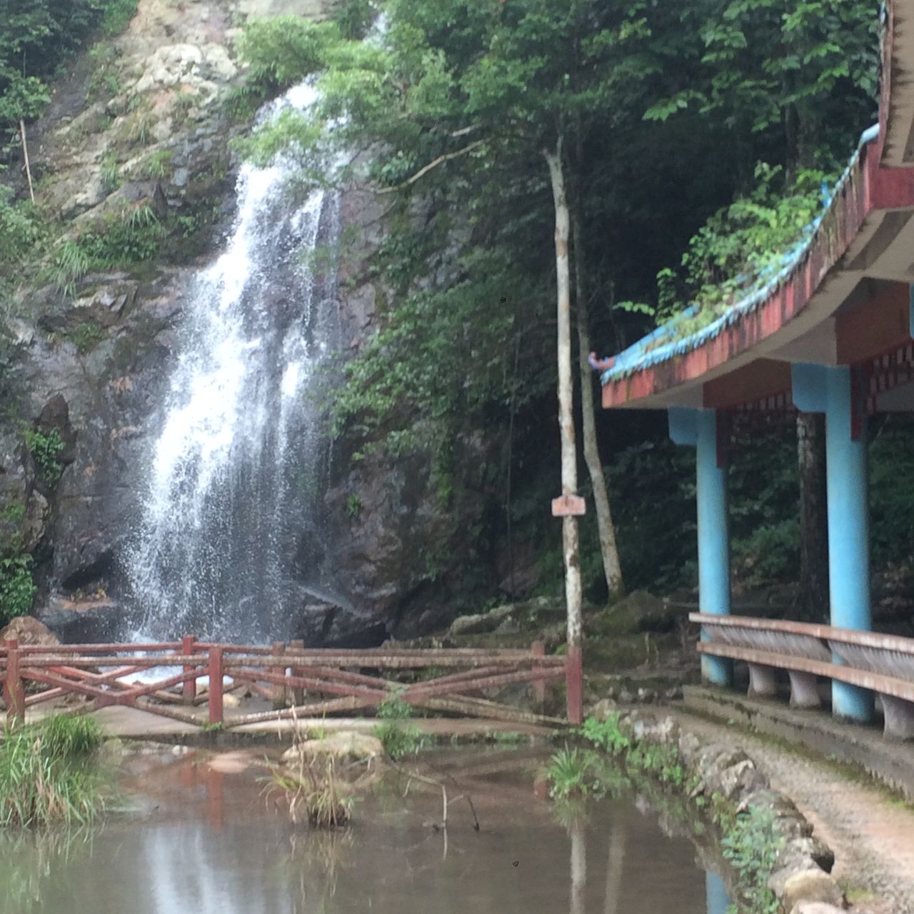 江西陽嶺國家級森林公園