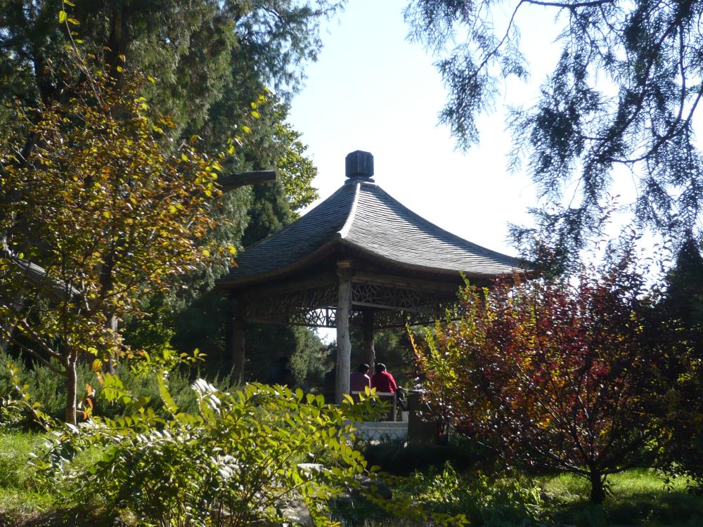 中山公園(北京市東城區中山公園)