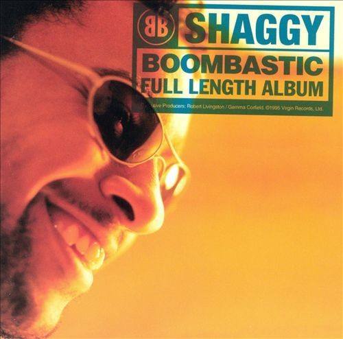 In The Summertime(Shaggy,Rayvon演唱的歌曲)