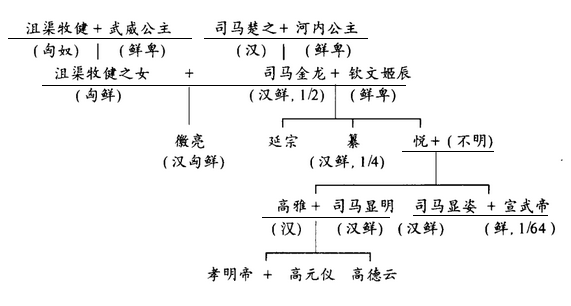 司馬金龍