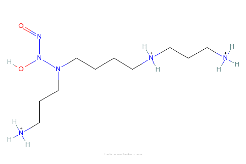 精胺氮氧化加合物