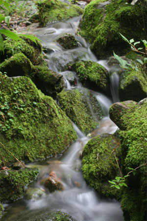 湯溝風景區