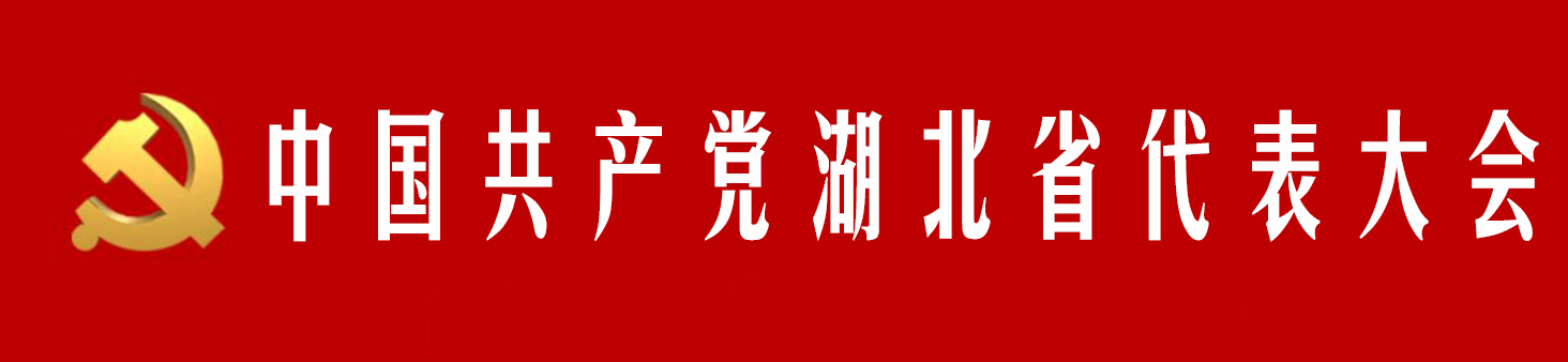 中國共產黨湖北省代表大會