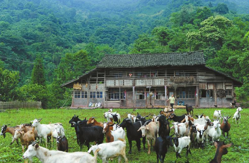 下大田村