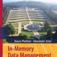 In-Memory Data Management(2011年Springer出版的圖書)