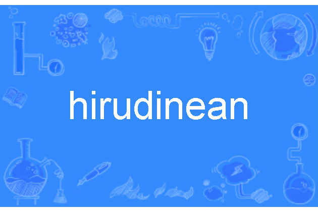 hirudinean