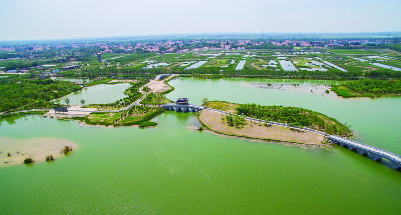 山東馬踏湖國家濕地公園