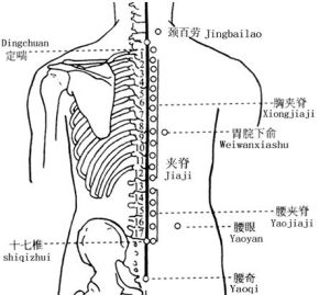 循際穴