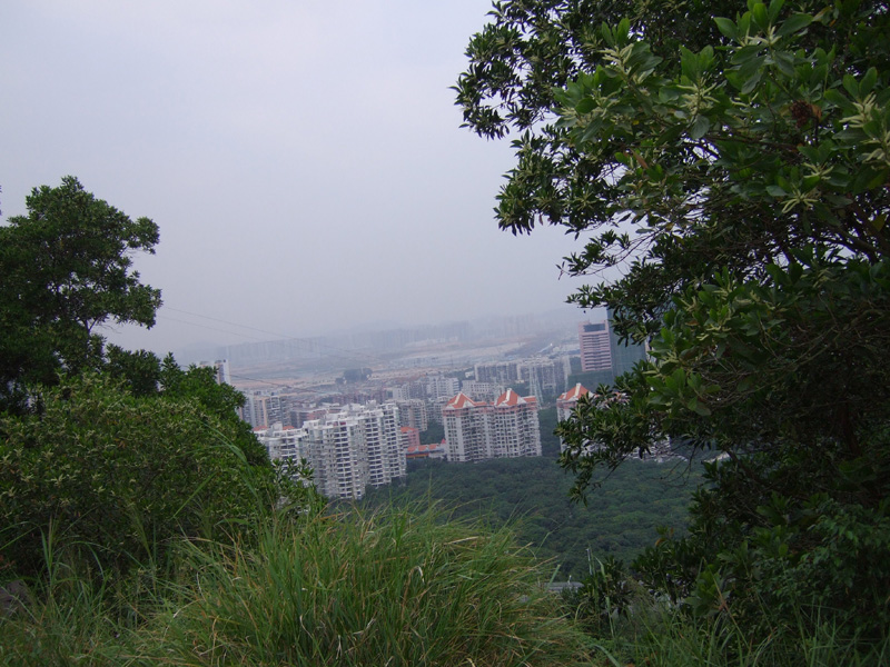 南山風景