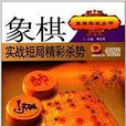 象棋實戰短局精彩殺勢