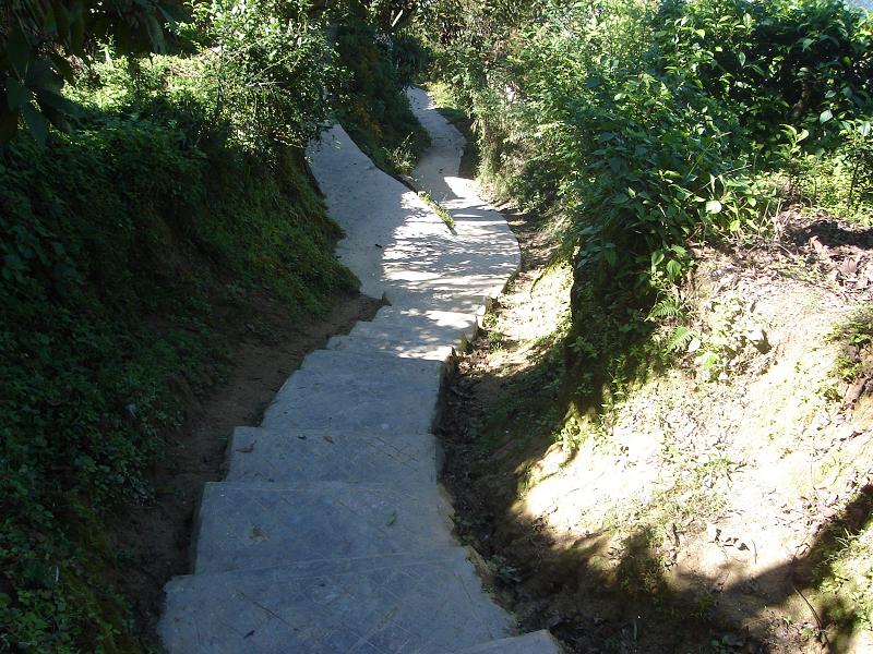 路山自然村