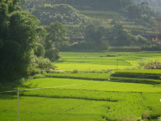 膩科街自然村村