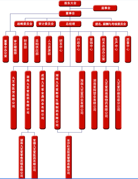 湖南九芝堂股份有限公司