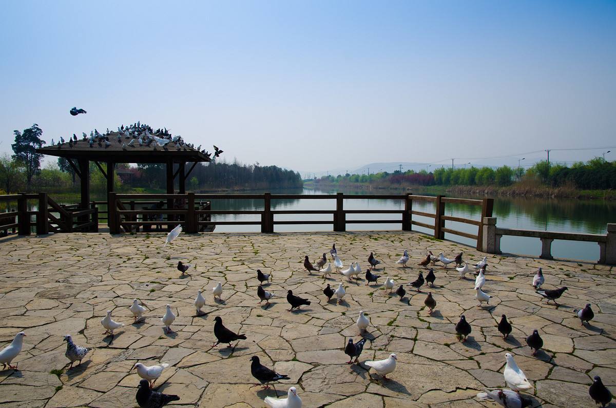 太湖湖濱國家濕地公園