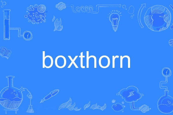 boxthorn