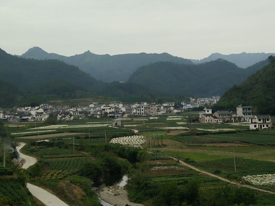 西坡村(安徽省黃山市歙縣溪頭鎮下轄村)