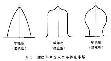 年齡金字塔