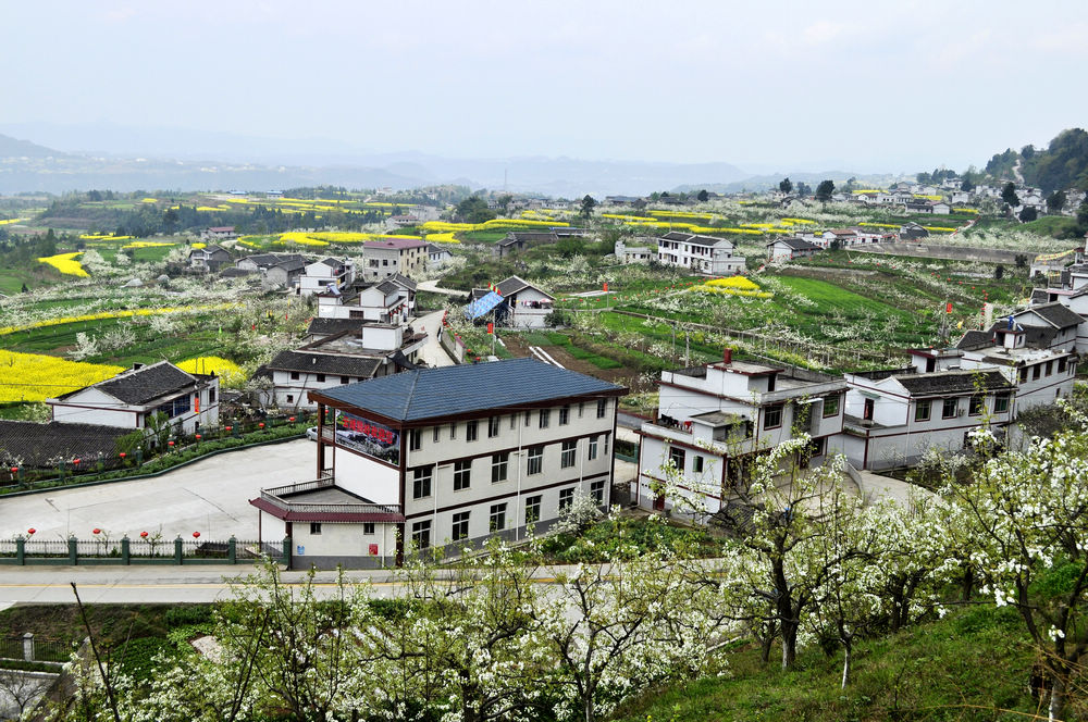 獅嶺村(廣東省四會市地豆鎮下轄村)