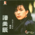 我想有個家(1989年潘美辰演唱歌曲)