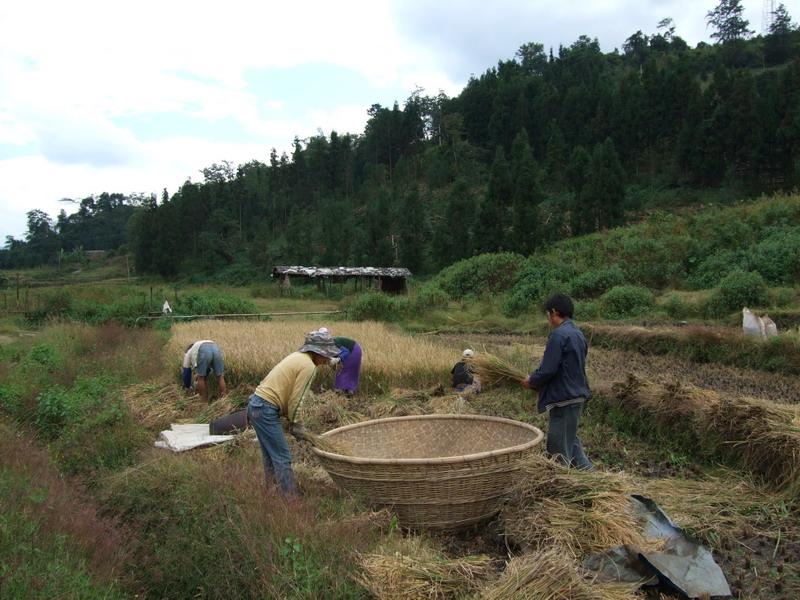 黑河漢自然村