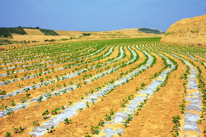 沙區土地利用變化與最佳化研究