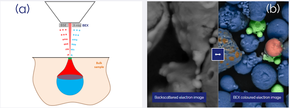 背散射電子及X射線(BEX)成像
