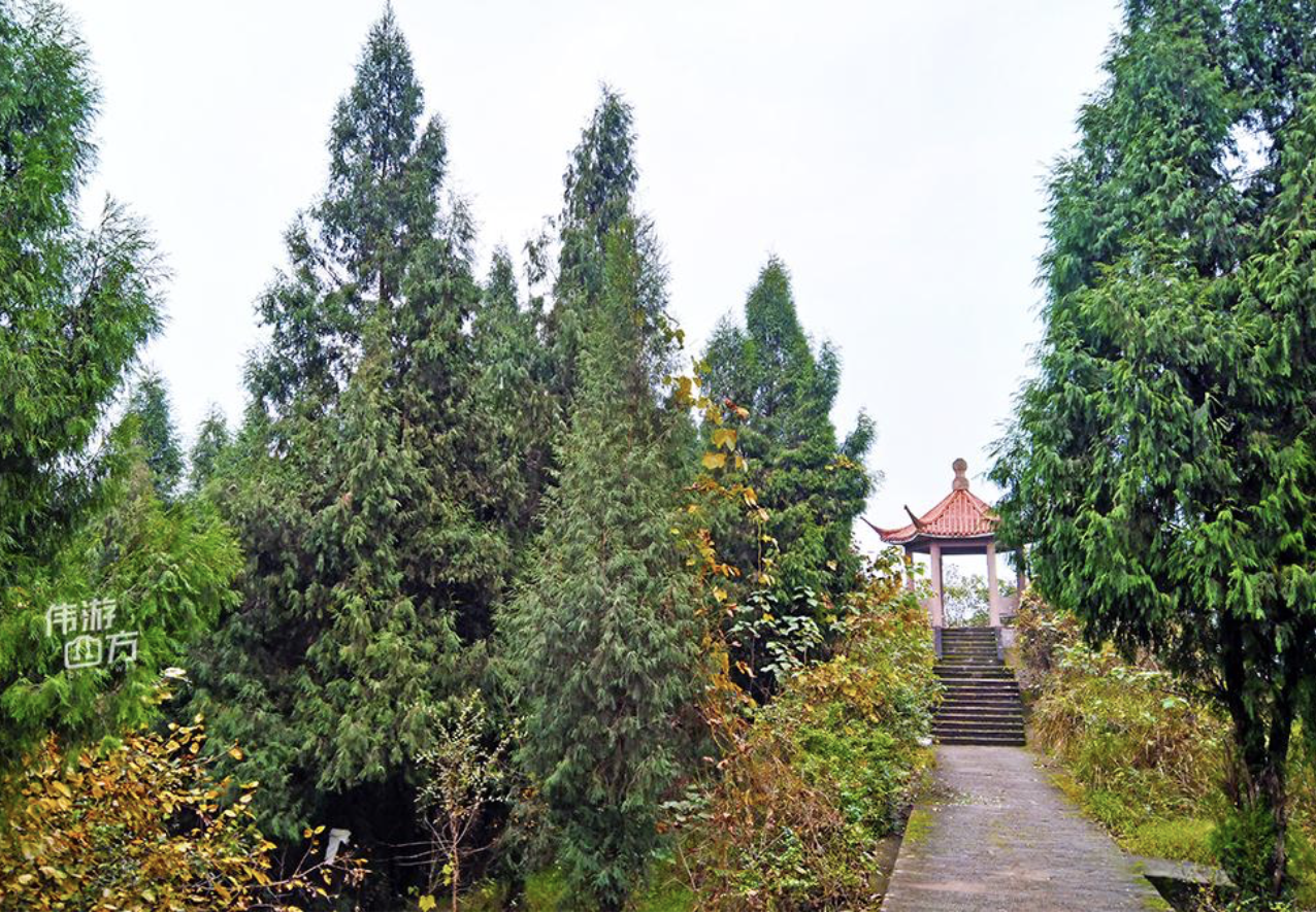 馬鞍山森林公園