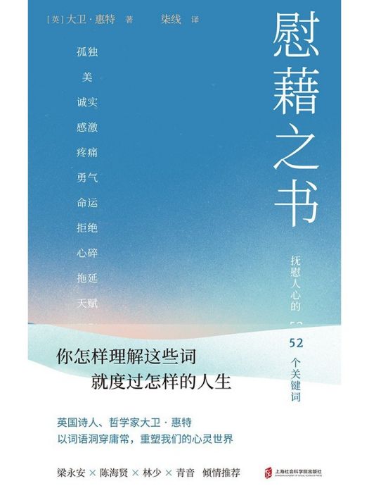 慰藉之書