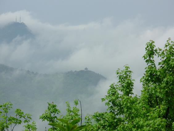 玉皇山國家森林公園