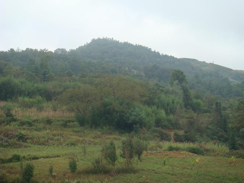 架吉村山地