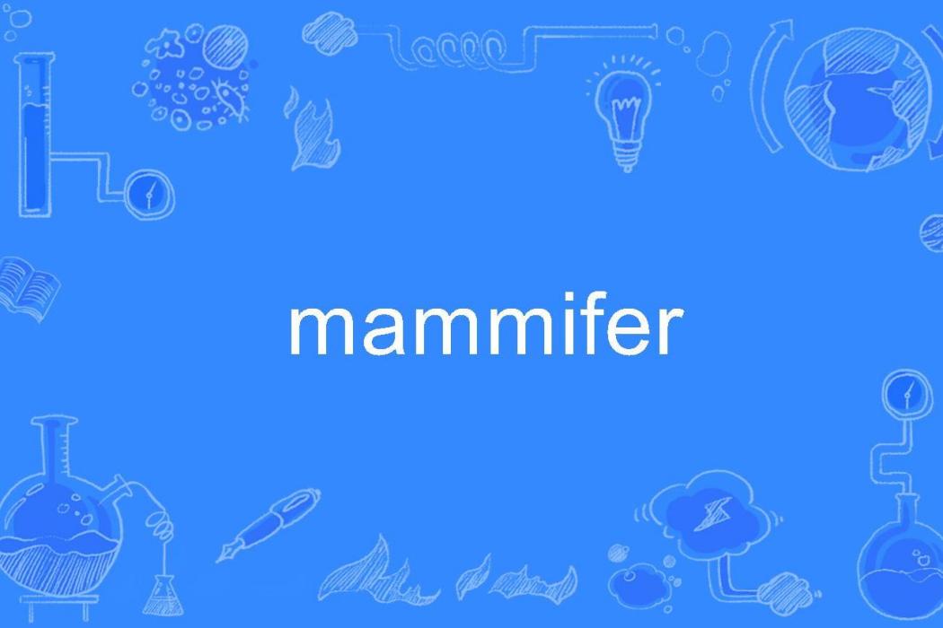 mammifer